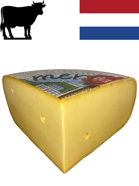 Purmer Gouda Jung aus Nord Holland